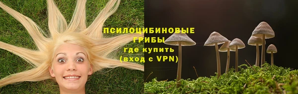 твердый Балахна